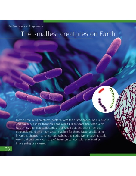 Space. Microworld (Spazio. Micromondo). Libro educativo (edizione in due volumi)