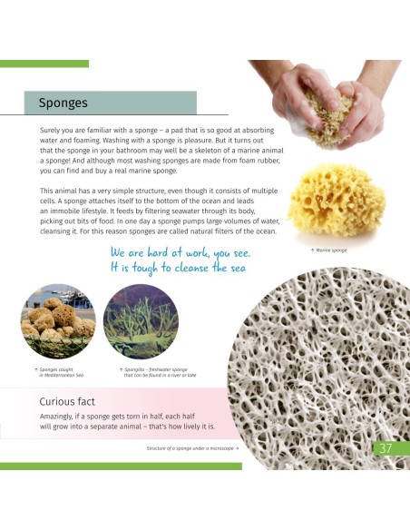 Space. Microworld (Spazio. Micromondo). Libro educativo (edizione in due volumi)