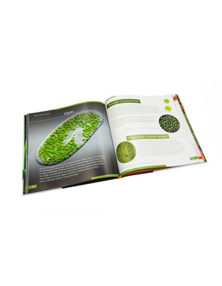 Invisible World (Mondo invisibile). Libro educativo