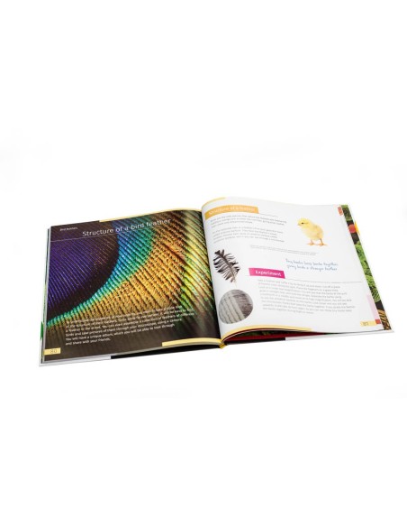 Invisible World (Mondo invisibile). Libro educativo