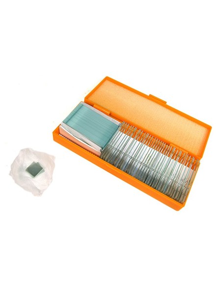 Set di vetrini preparati Levenhuk N38 NG