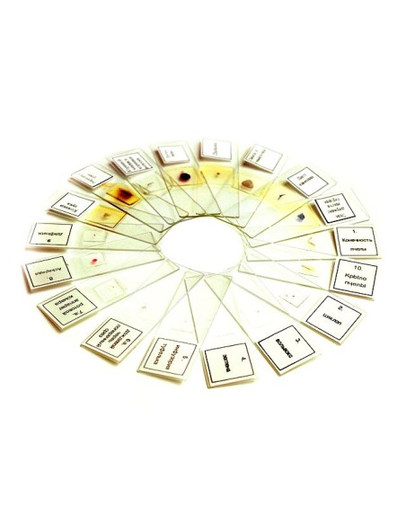 Set di vetrini preparati Levenhuk N38 NG