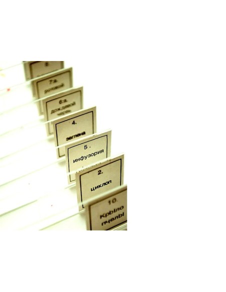 Set di vetrini preparati Levenhuk N38 NG