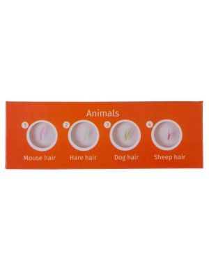 Levenhuk LabZZ C12 Set di vetrini preparati Animali 2