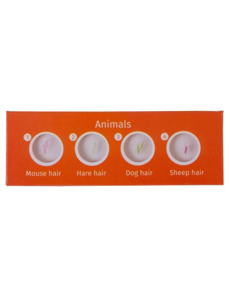 Levenhuk LabZZ C12 Set di vetrini preparati Animali