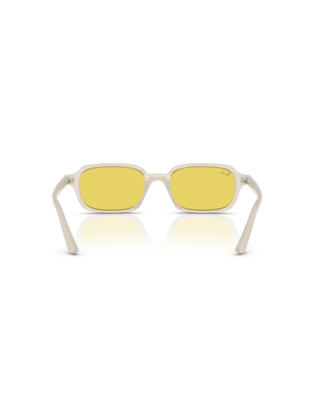 Occhiali sole RAY-BAN - ZURI - RB4455 - 68086D - 52