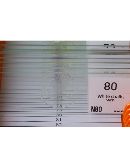 Set di vetrini "See it all!" (Alla scoperta del mondo!) Levenhuk N80 NG