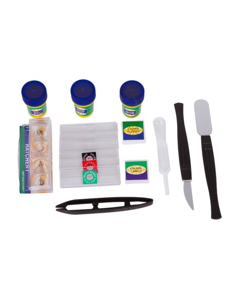 Microscopio Levenhuk LabZZ M2