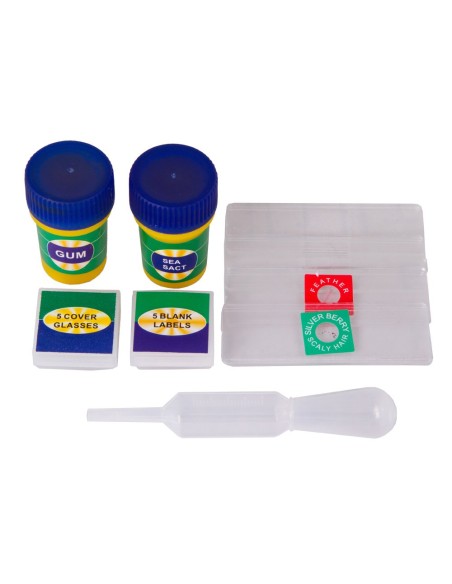 Microscopio Levenhuk LabZZ M1