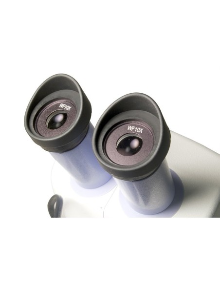 Microscopio Levenhuk 5ST
