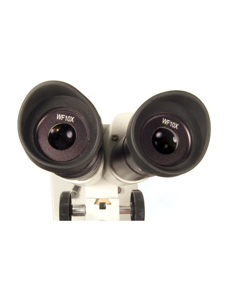 Microscopio Levenhuk 2ST