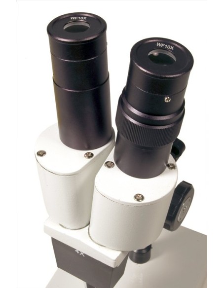 Microscopio Levenhuk 2ST