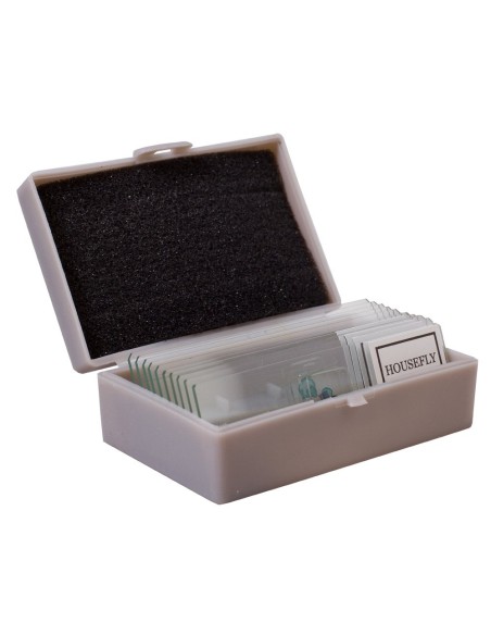 Kit per esperimenti Levenhuk K50