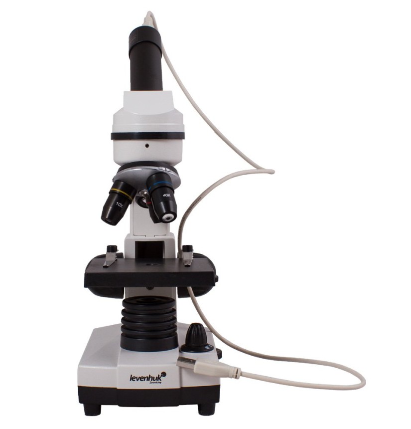 Microscopio digitale Levenhuk Rainbow D2L 0.3M, moonstone