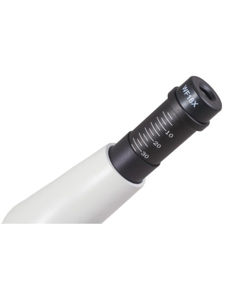 Microscopio digitale Levenhuk Rainbow D50L PLUS 2M, moonstone