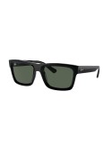 RAY-BAN - WARREN - RB4396 - 667771 - 54