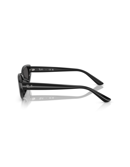 Occhiali sole RAY-BAN - RB4457D - 667787 - 55