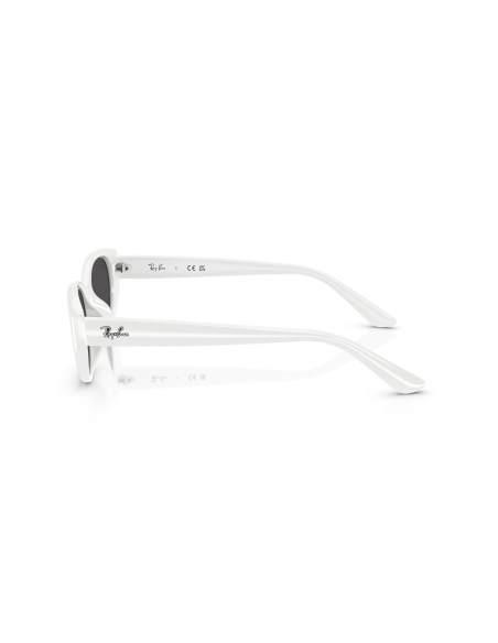 Occhiali sole RAY-BAN - RB4457D - 677287 - 55