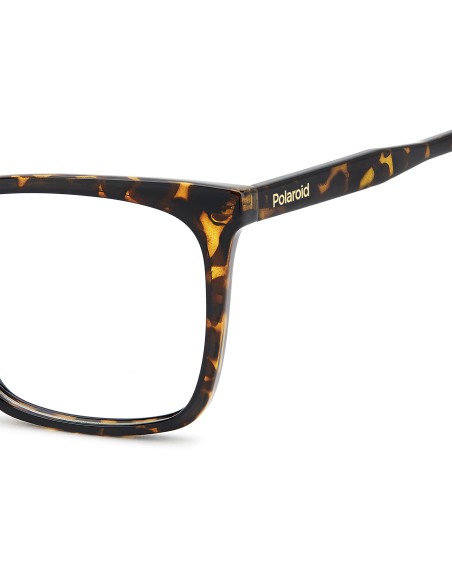OPTICAL FRAMES POLAROID - PLD D588 - HAVANA - 54
