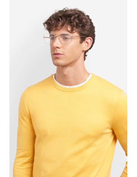 OPTICAL FRAMES POLAROID - PLD D582/G - GOLD - 57