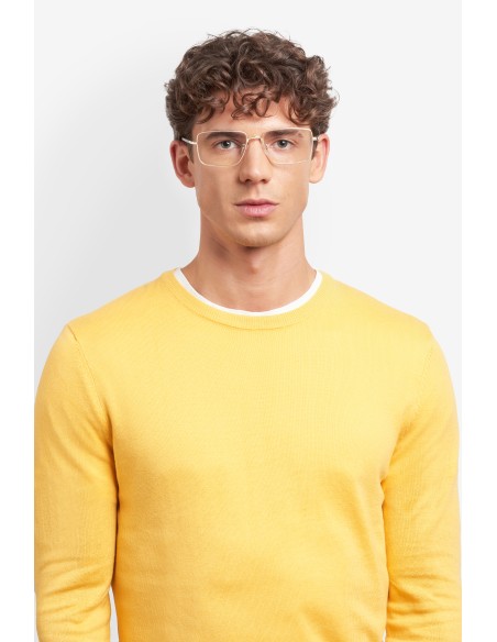 OPTICAL FRAMES POLAROID - PLD D582/G - GOLD - 57