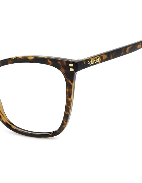 OPTICAL FRAMES POLAROID - PLD D579 - HAVANA - 55