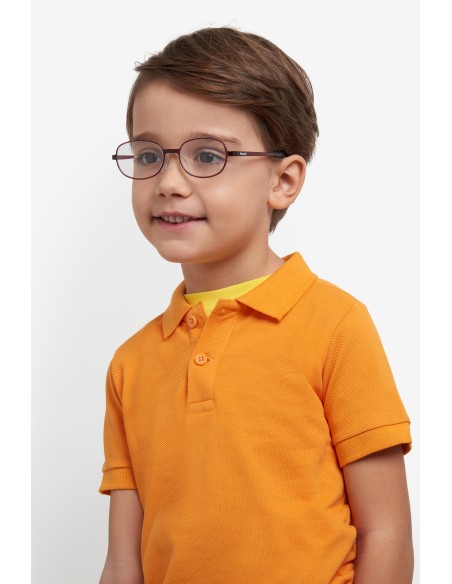 OPTICAL FRAMES POLAROID - PLD D557 - HAVANA - 55