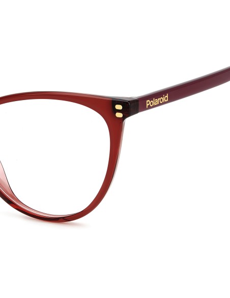 OPTICAL FRAMES POLAROID - PLD D552 - HAVANA - 54