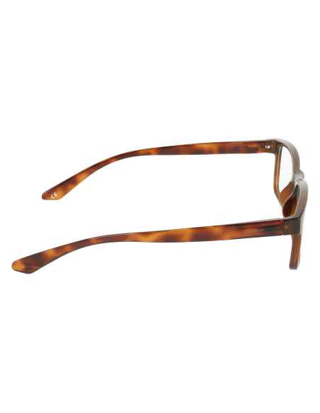 CALVIN KLEIN - CK19569/N - 200 - 55