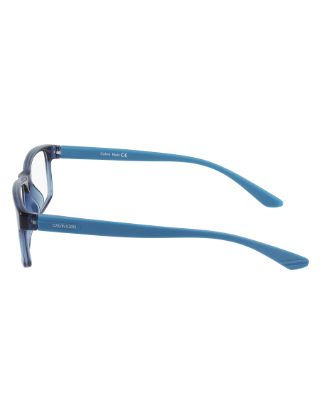 CALVIN KLEIN - CK19569/N - 430 - 55
