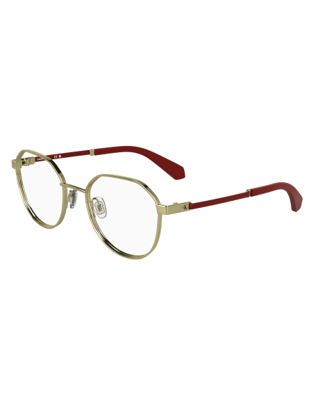 CALVIN KLEIN JEANS - CKJ25304 - 717 - 49