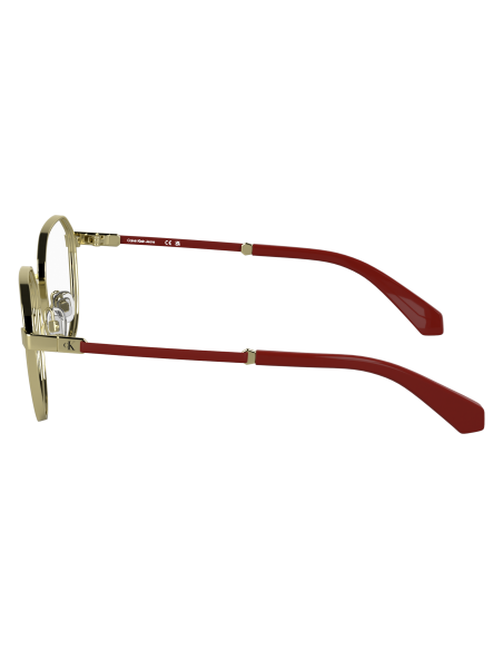 CALVIN KLEIN JEANS - CKJ25304 - 717 - 49