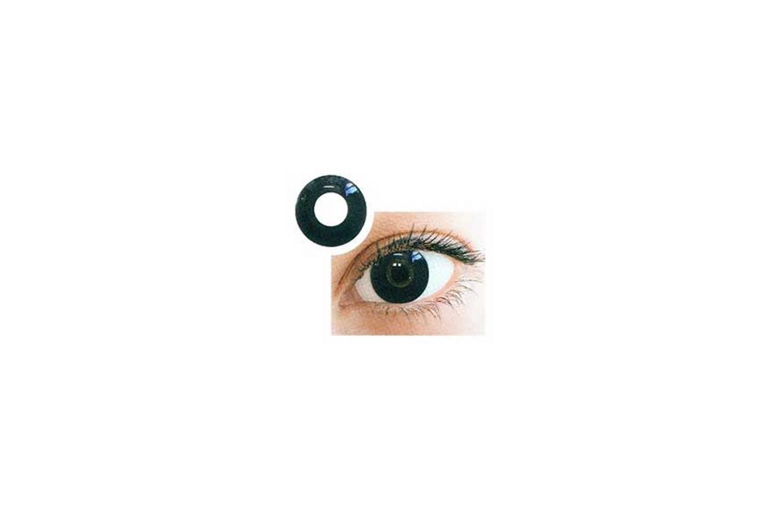Lenti Crazy Colors Crazy Black | Isolani