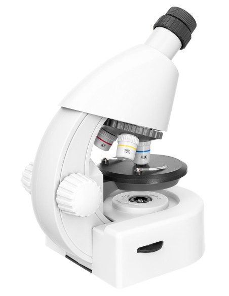 Microscopio Discovery Micro Polar con libro