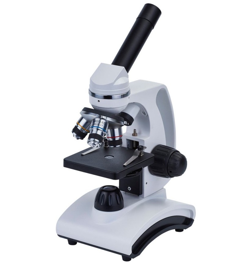 Microscopio Discovery Femto Polar con libro