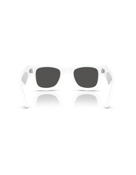 Occhiali sole RAY-BAN - WAYFARER PUFFER - RB4940B - 686387 - 47