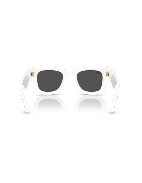 Occhiali sole RAY-BAN - WAYFARER PUFFER - RB4940BP - 686687 - 47