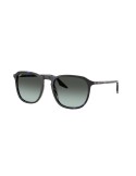 RAY-BAN - RB2203 - 1430GK - 52