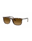RAY-BAN - RB2216 - 143185 - 58