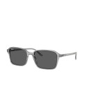 RAY-BAN - RAIMOND - RB2231 - 1436B1 - 58