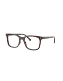 RAY-BAN VISTA - RX5446 - 2012 - 51