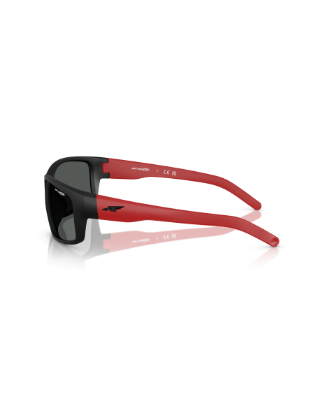 ARNETTE FASTBALL Occhiali da Sole Calibro 62 | Isolani