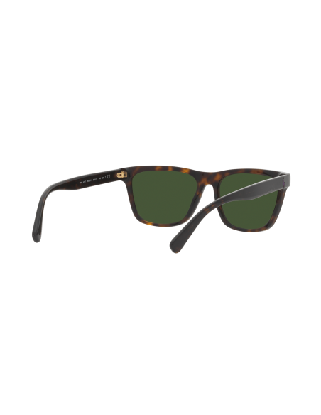 POLO 0PH4167 Occhiali da Sole Calibro 56 | Isolani