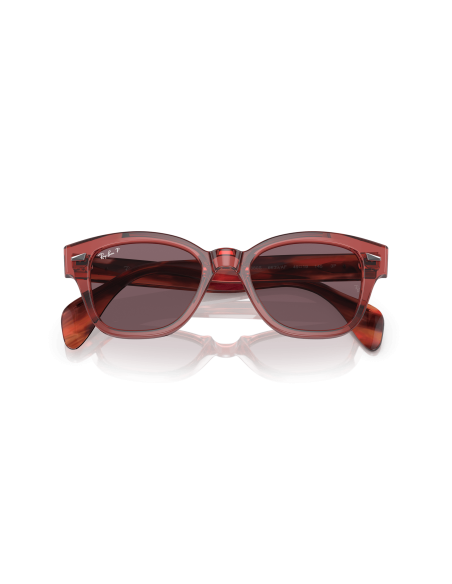 RAY-BAN 0RB0880S Occhiali da Sole Calibro 52 | Isolani