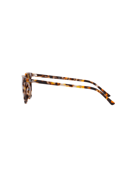 RAY-BAN ELLIOT Occhiali da Sole Calibro 50 | Isolani