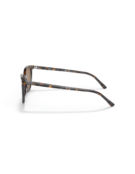 RAY-BAN ELLIOT Occhiali da Sole Calibro 50 | Isolani