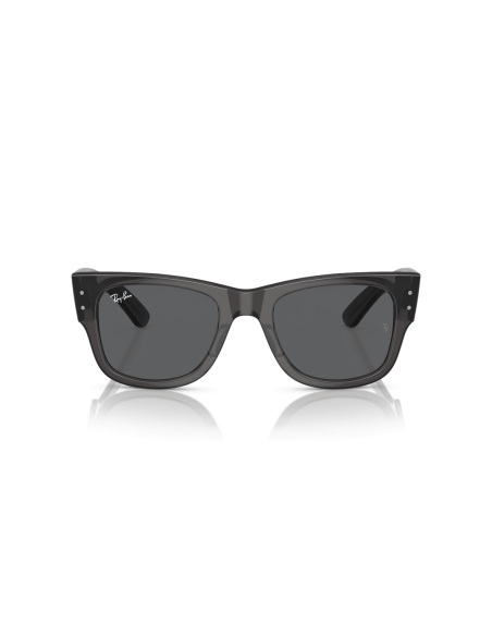 0RB0840S__1390B1__P21__shad__fr