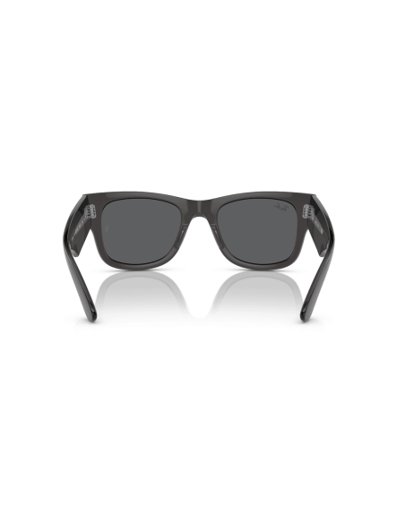 0RB0840S__1390B1__P21__shad__bk