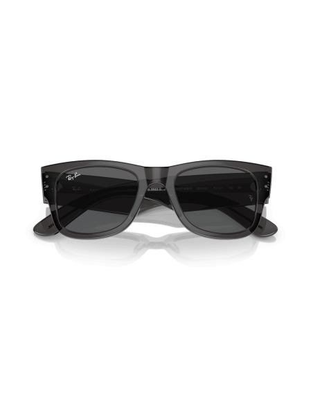 0RB0840S__1390B1__P21__shad__cfr