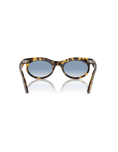 0RB2242__13323F__P21__shad__bk